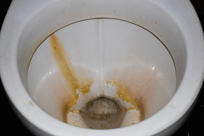 How to Clean Toilet Hard Water Stains