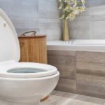 best elongated toilet seats