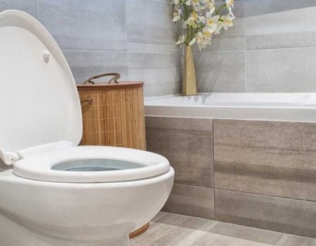 The 10 Best Elongated Toilet Seat of 2021 – Top Models Compared
