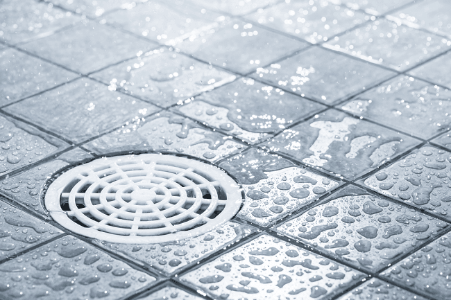 Best Shower Drains