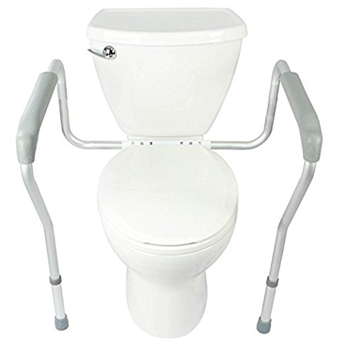 HEALTHLINE Toilet Safety Frame