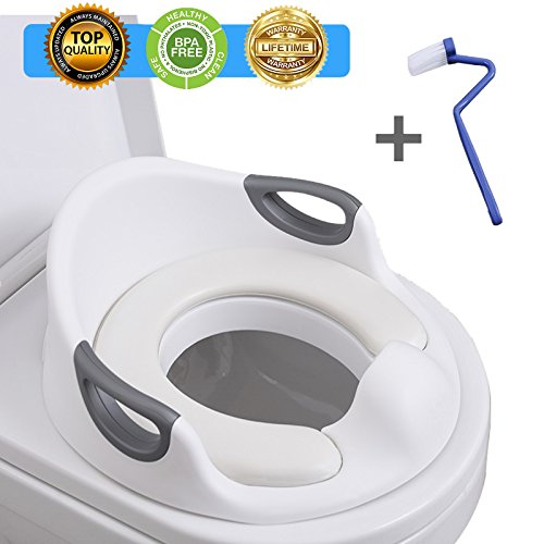 best potty training seat 2019