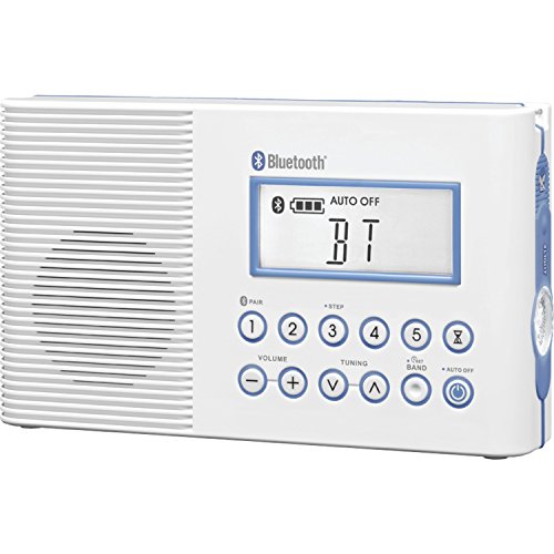 Sangean H202 Portable AM/FM/Weather Alert 