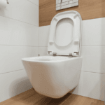 Best Wall Hung Toilet