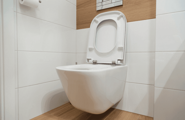 Best Wall Hung Toilet