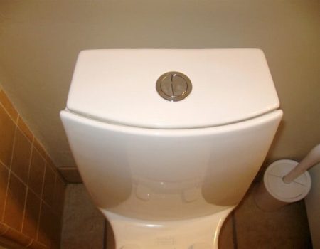 The 10 Best Dual Flush Toilet of 2022 – List of The Top Selling Models