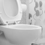 Best American Standard Toilet