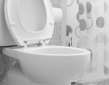 The 10 Best American Standard Toilet of 2022 – UPDATED