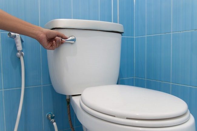 Toilet Flushing Issues And The Reasons And Solutions To That