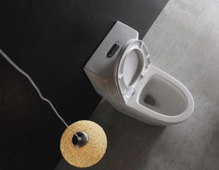 10 Best One-Piece Toilets of 2022 – Reviews & Buying Guide