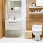 Woodbridge Toilet Reviews