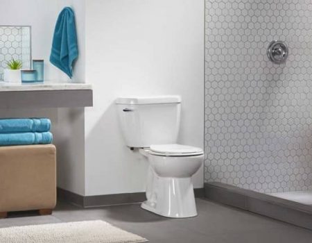 The 5 Best Niagara Stealth Toilet Reviews & Complete Guide