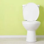 Saniflo Toilet Reviews