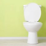 Saniflo Toilet Reviews