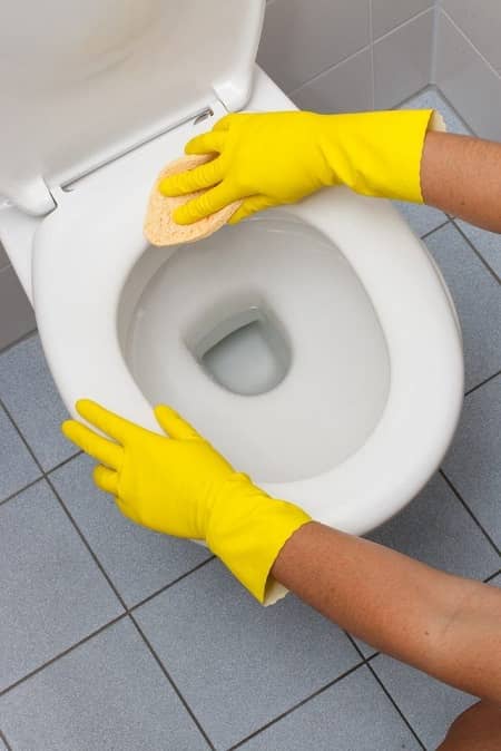 How To Remove Urine Stains From Toilet Seat