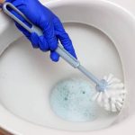 How To Clean Poop Stains From The Toilet Bowl