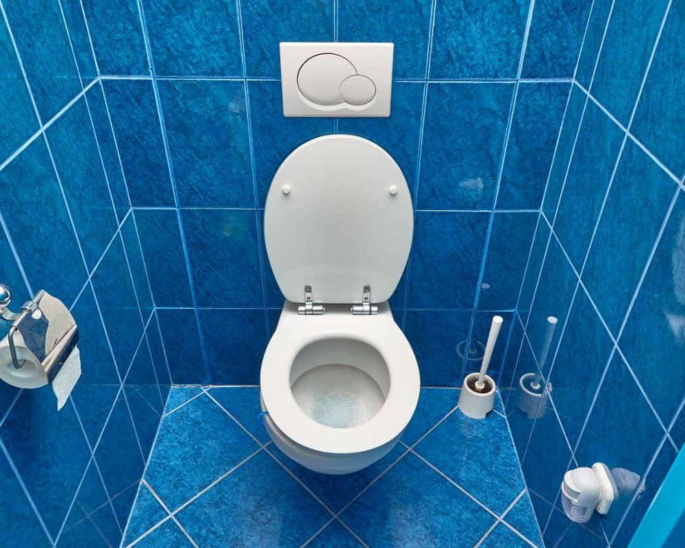 Welcome to All About Toilet! - Toilet For Everyone