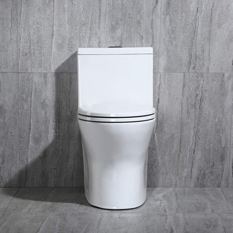 The 10 Best OnePiece Toilets of 2024 (Reviews & Guide)