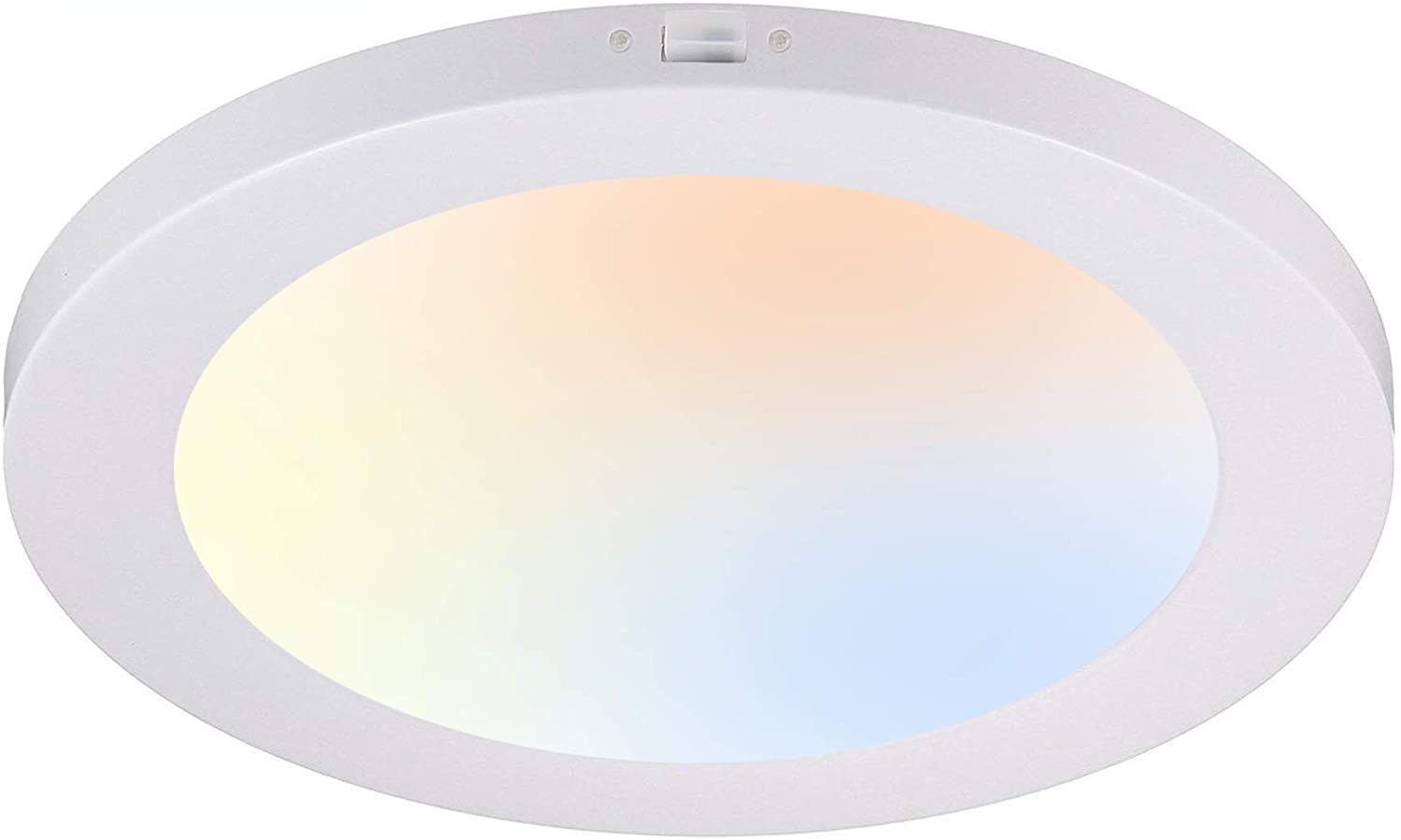 Cloudy Bay 12 Inch LED Flush Mount Ceiling Light